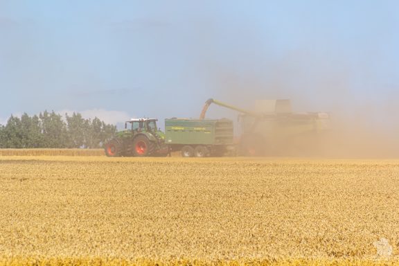 Fendt Favorit 936